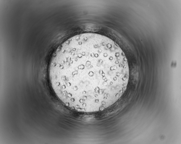 X0000101950554200808151255