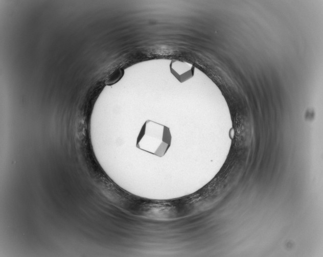 X0000101950555200808151255
