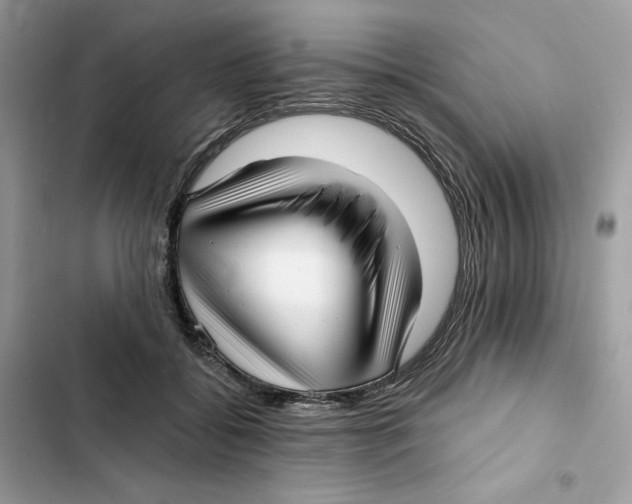 X0000101950556200808151255