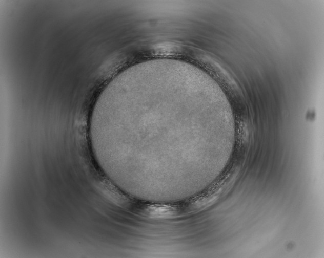 X0000101950557200808151255