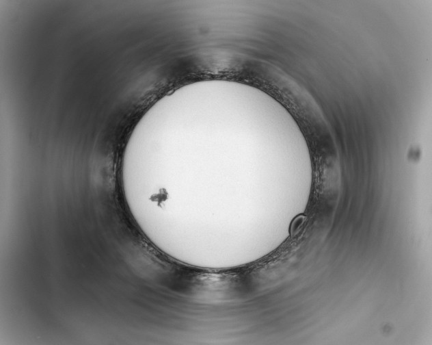 X0000101950558200808151255