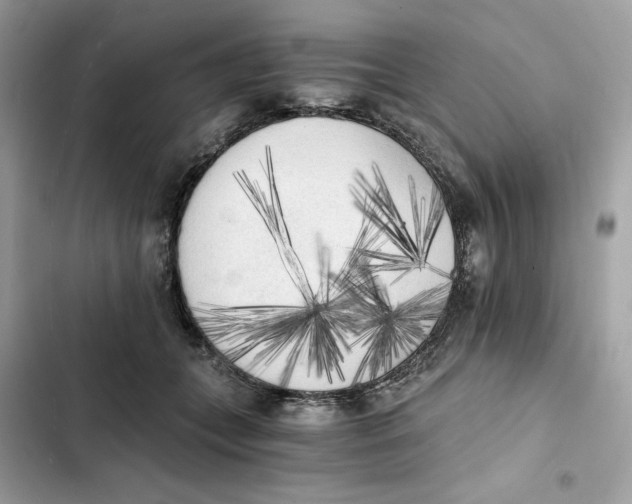 X0000101950559200808151255
