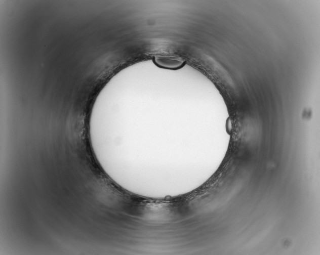 X0000101950560200808151255
