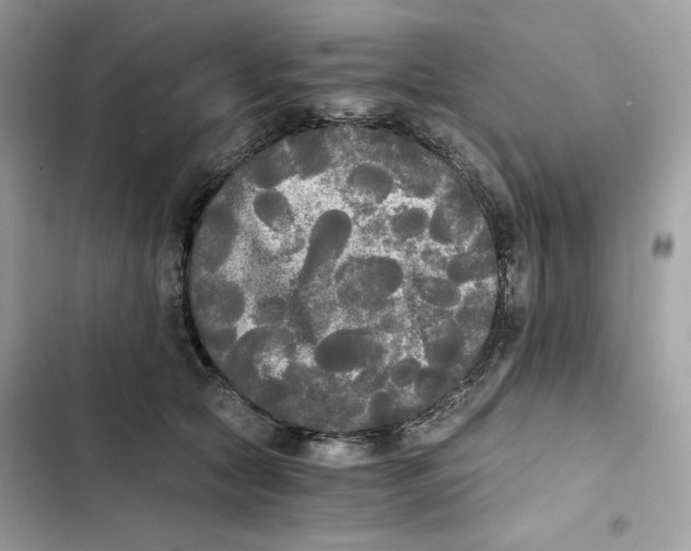 X0000101950561200808151255