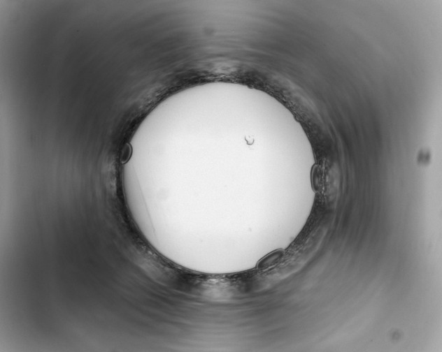 X0000101950562200808151255