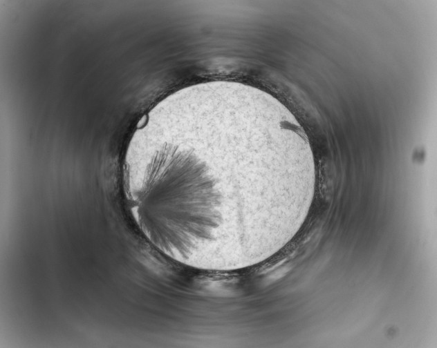 X0000101950563200808151255