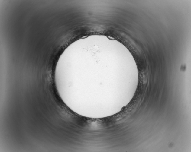 X0000101950564200808151255