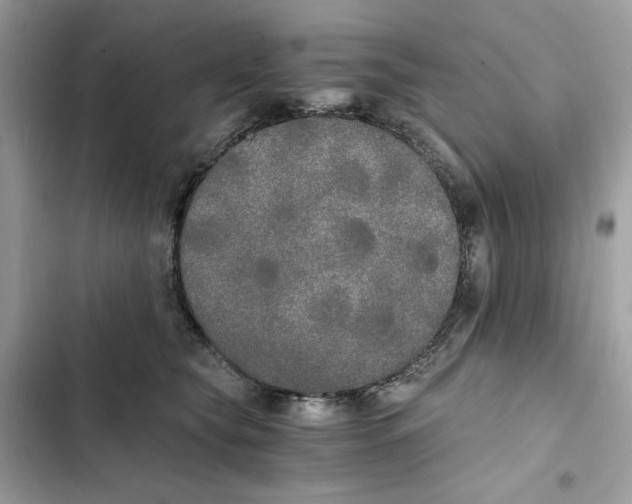 X0000101950565200808151255