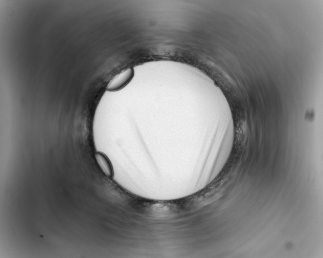 X0000101950566200808151255