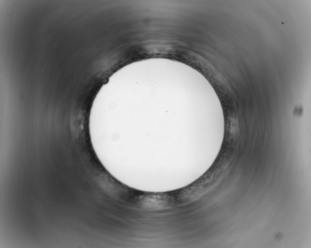 X0000101950567200808151255