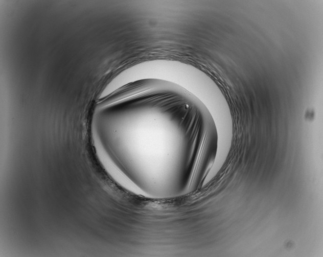 X0000101950568200808151255