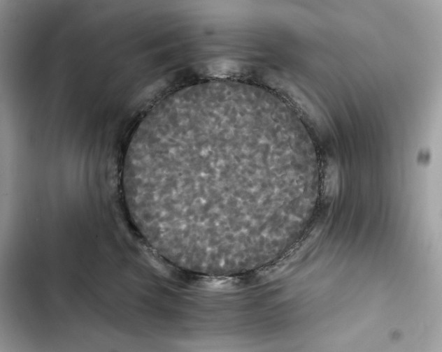 X0000101950569200808151255