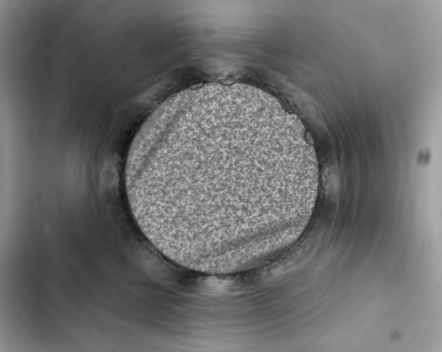 X0000101950570200808151255