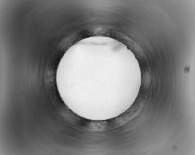 X0000101950571200808151255