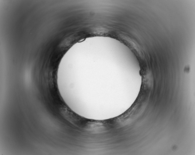 X0000101950572200808151255