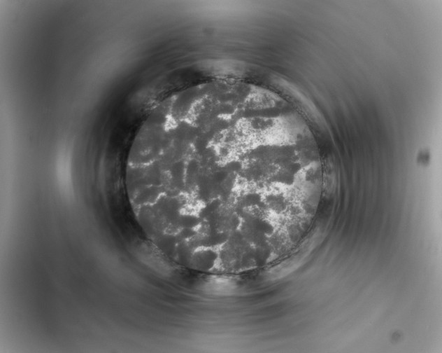 X0000101950573200808151255