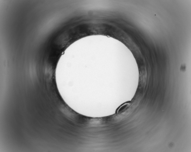 X0000101950574200808151255