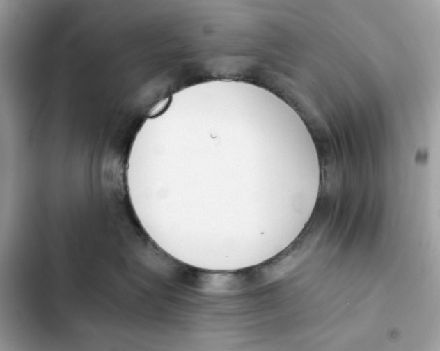 X0000101950575200808151255