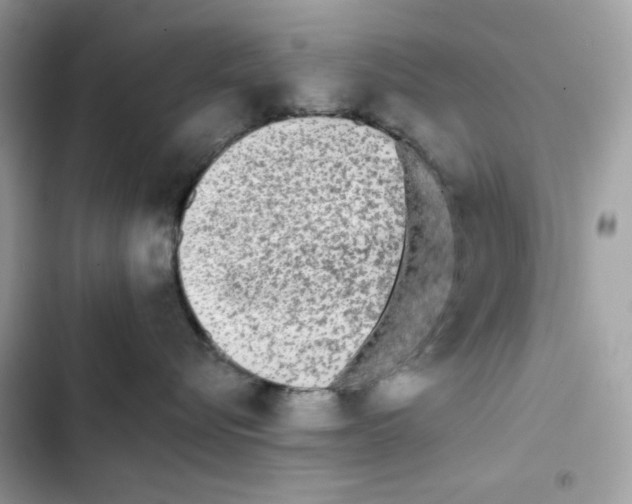 X0000101950576200808151255