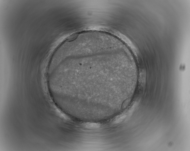 X0000101950577200808151254