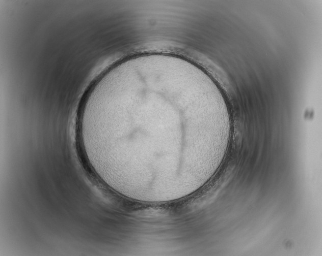 X0000101950578200808151254