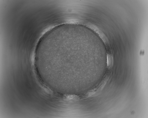 X0000101950579200808151254