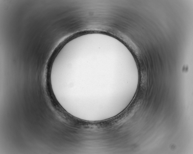X0000101950580200808151254