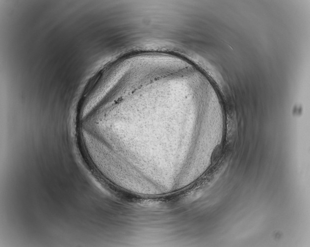 X0000101950581200808151254