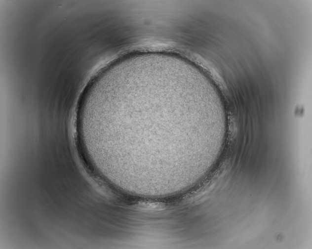 X0000101950582200808151254