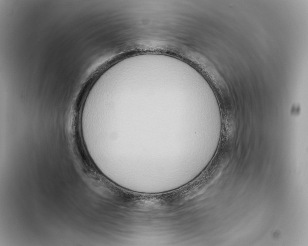X0000101950583200808151254