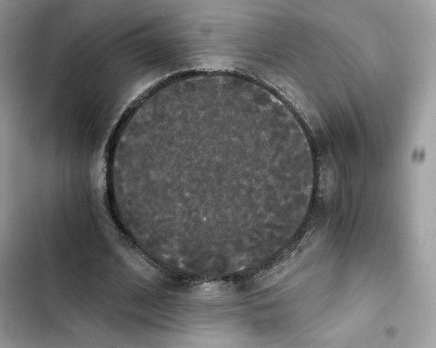 X0000101950584200808151254
