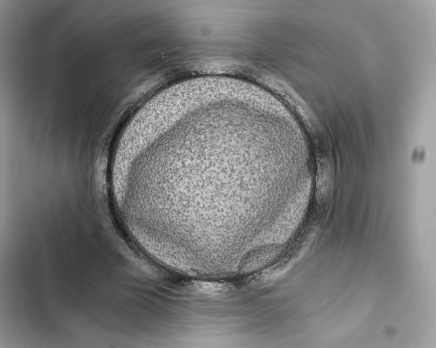 X0000101950585200808151254