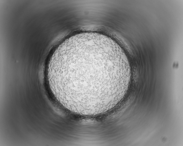 X0000101950586200808151254