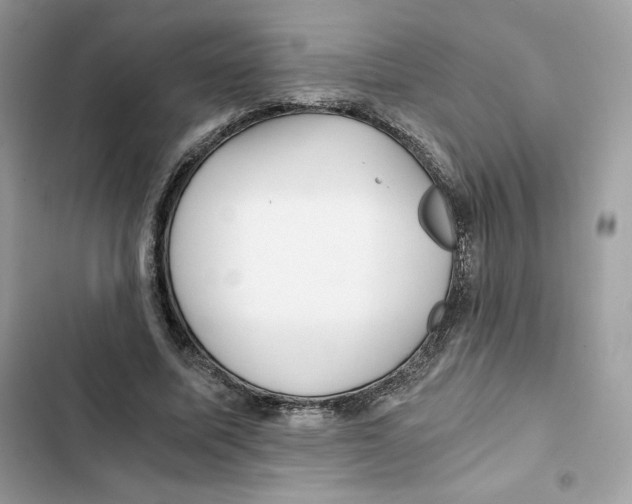 X0000101950587200808151254