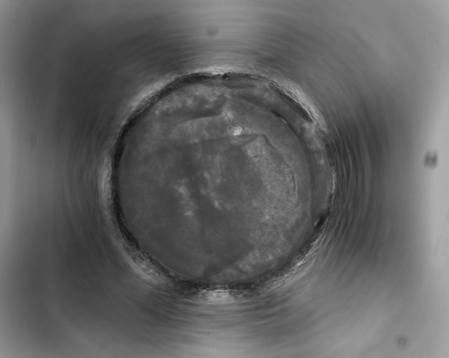 X0000101950588200808151254