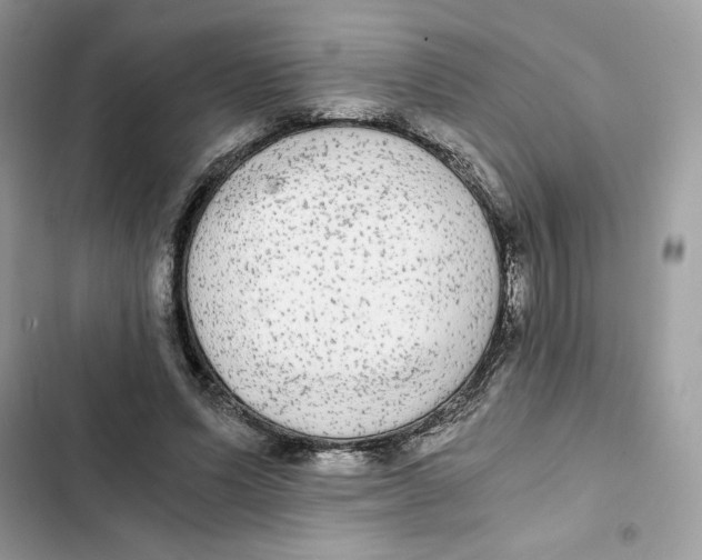 X0000101950591200808151254
