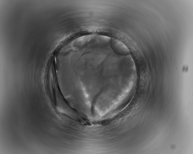 X0000101950592200808151254