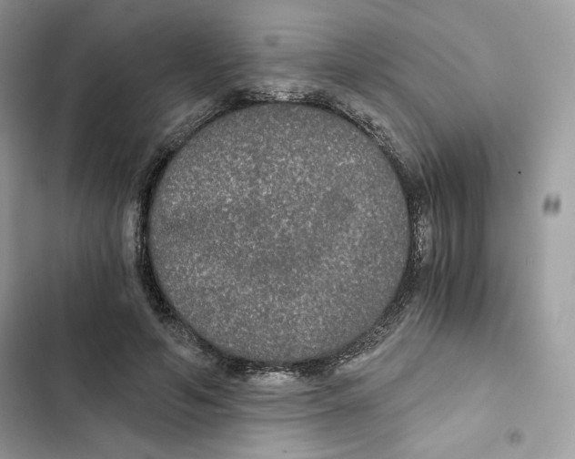X0000101950594200808151254
