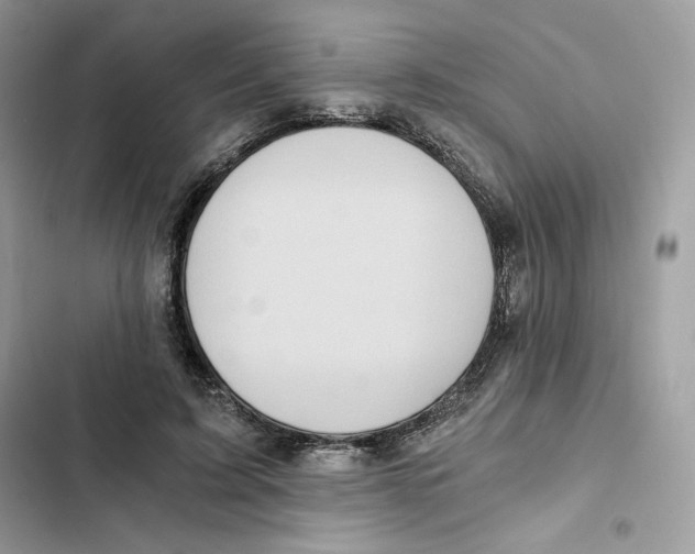 X0000101950595200808151254