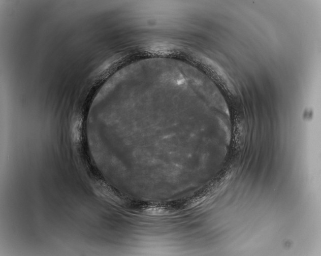 X0000101950596200808151254