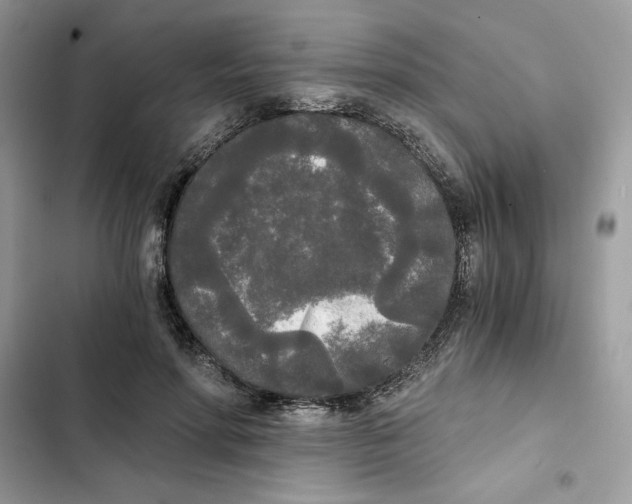 X0000101950598200808151254