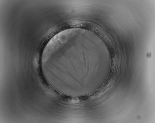 X0000101950600200808151254