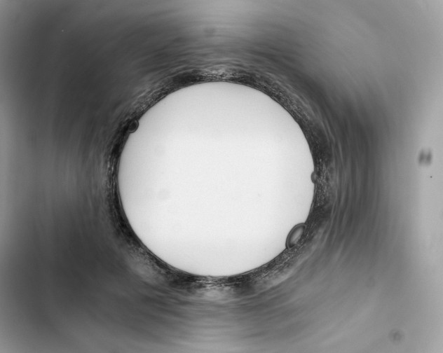 X0000101950601200808151254