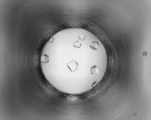 X0000101950602200808151254