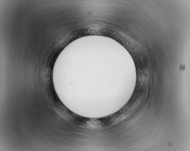 X0000101950603200808151254