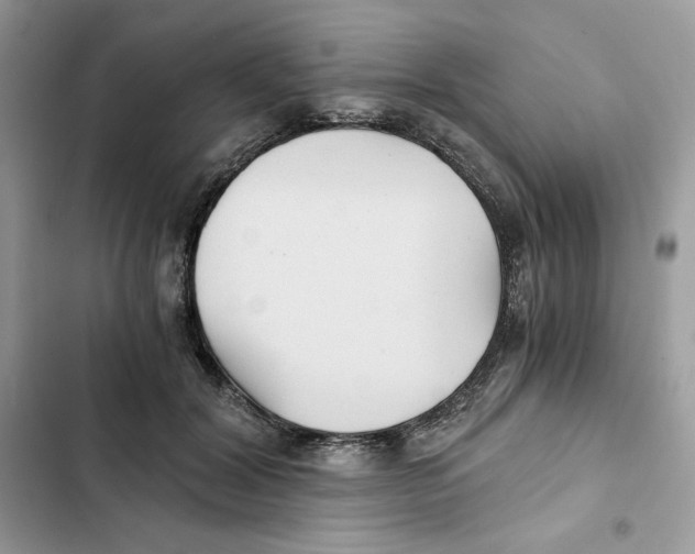 X0000101950604200808151254