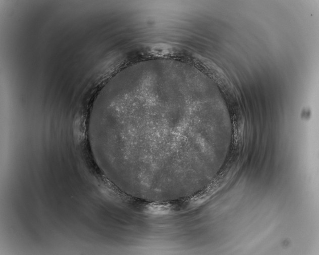 X0000101950606200808151254