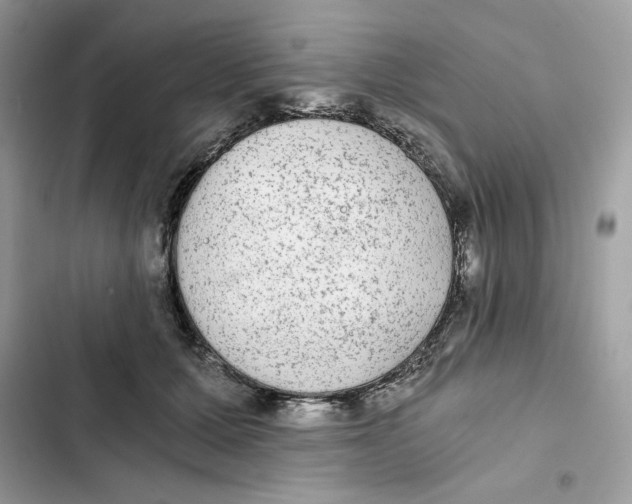 X0000101950607200808151254