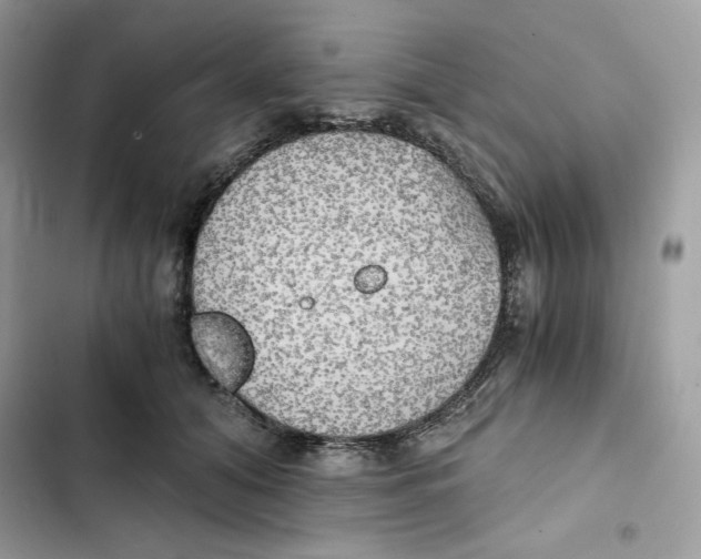 X0000101950608200808151254