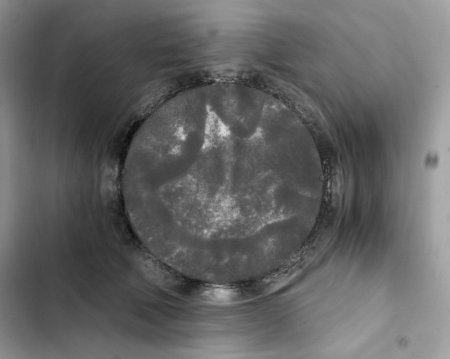 X0000101950610200808151254